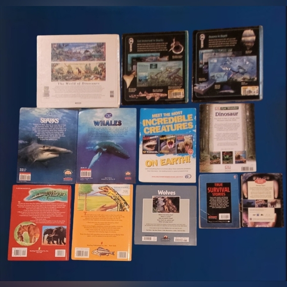 EDUCATIONAL LOT 12 CHILDREN/YOUNG READER BOOKS ~ SHARKS ~ WILDLIFE ~ SCHOLASTIC - Picture 5 of 5